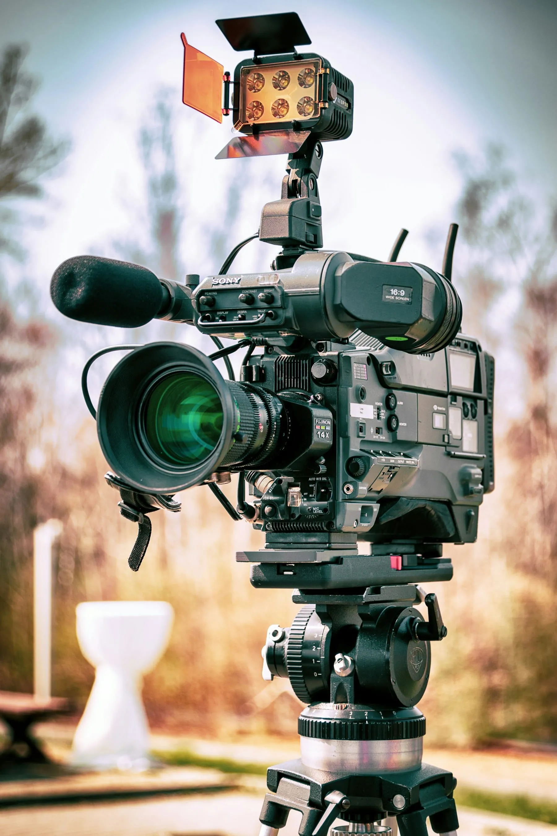Content & Media Production — 1
